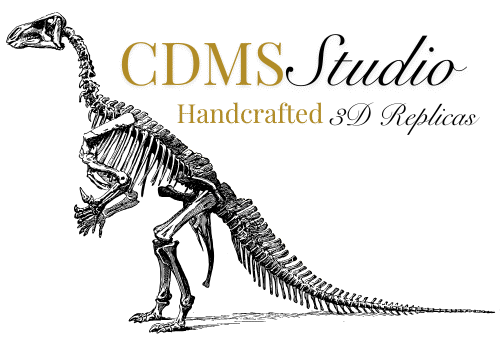 CDMS Light Transparent Logo